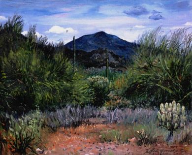 ***Sonoran Desert - Print - Black Mountain - may be ordered: click to enlarge
