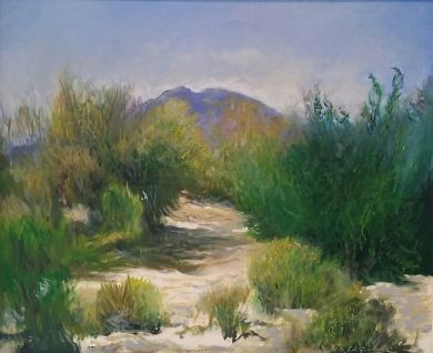 SONORAN DESERT - Sonoran Summer Day 20x24 - $4600: click to enlarge
