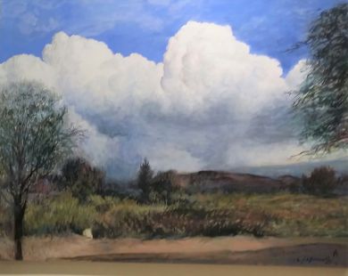 SONORAN DESERT - Sonoran Clouds 36x48 $19,000: click to enlarge