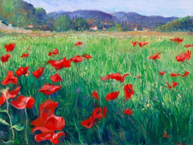 Italy - Print - Tuscan Poppy Field -0 canvas available - may be ordered - paper prints available : click to enlarge
