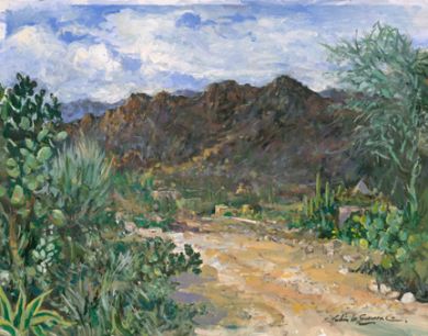 ***Sonoran Desert - Print - Path to Black Mountain - 30x40 canvas $1140 now 35% off at $741 -  paper prints available: click to enlarge