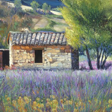 Italy - Print - Tuscan Lavender - 0 canvas available - may be ordered - paper prints available: click to enlarge