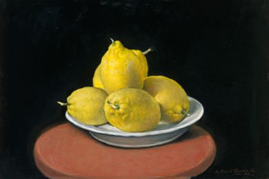 France - Print - Plate of Lemons - canvas print may be ordered - paper prints available: click to enlarge