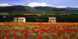 ***France - Print - Coquelicots - paper prints available