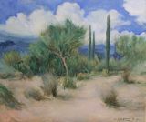 SONORAN DESERT - Desert Path 30x36 - $11,000