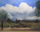 SONORAN DESERT - Sonoran Clouds 36x48 $19,000